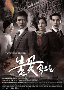 河南专业seo首页优化报价